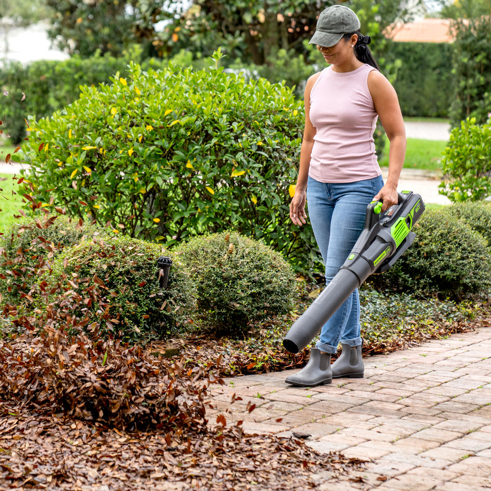 60V Leaf Blower 209 km/h - tool only