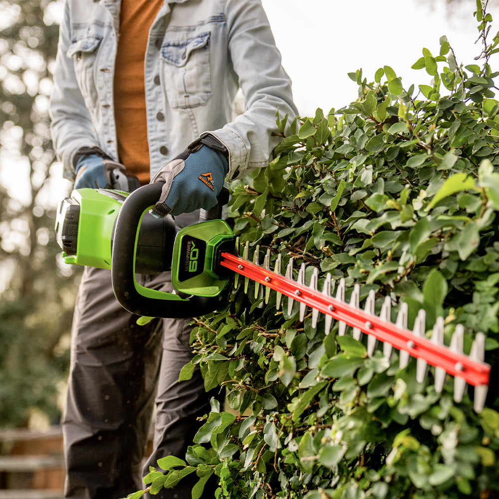 60V Hedge Trimmer 66cm - 2Ah Battery