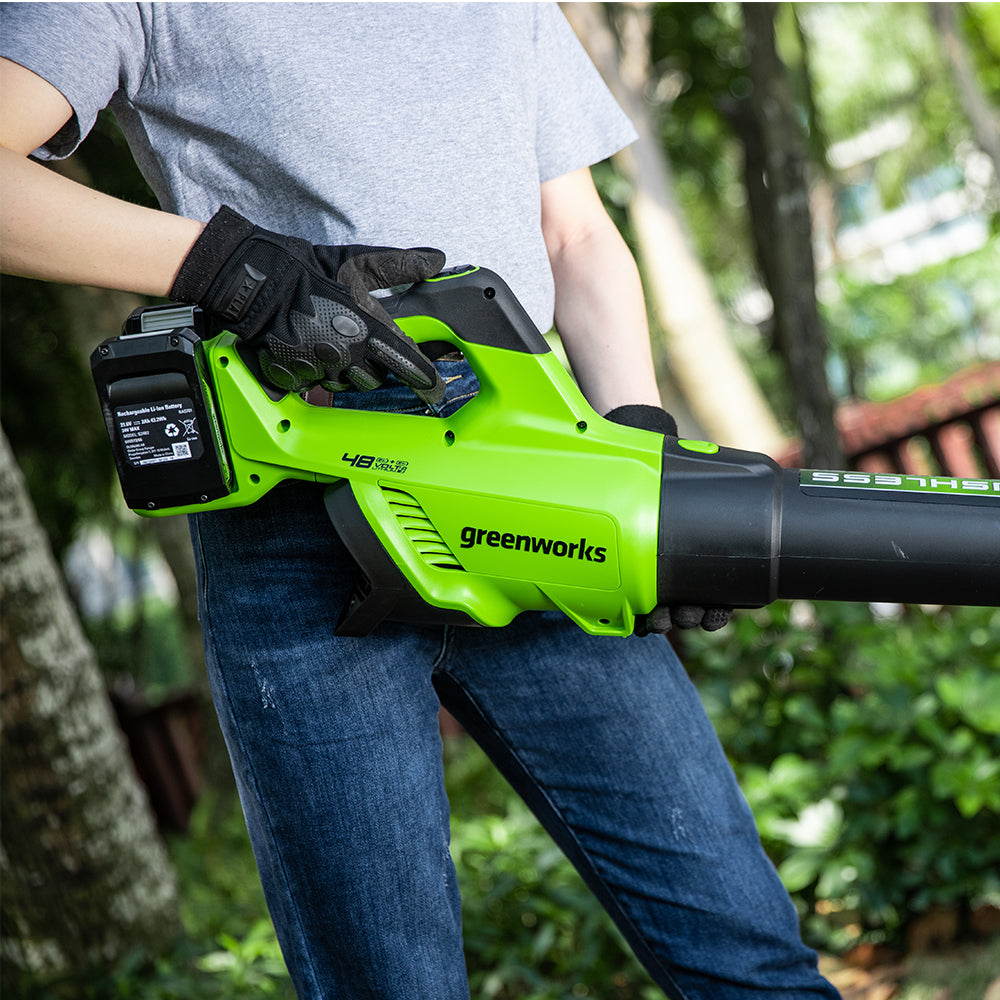POWERALL 48V (24V x 2) Leaf Blower 217 km/h - tool only