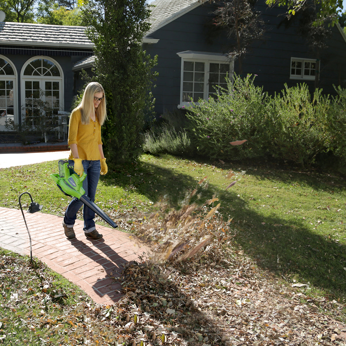 40V Leaf Blower / Leaf Vacuum 280 km/h - 2x 2Ah Battery