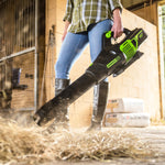 60V Leaf Blower 209 km/h - tool only