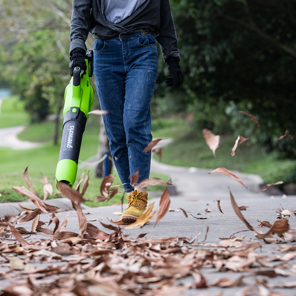 24V+24V Leaf Blower 193 km/h - 2x 2Ah Battery