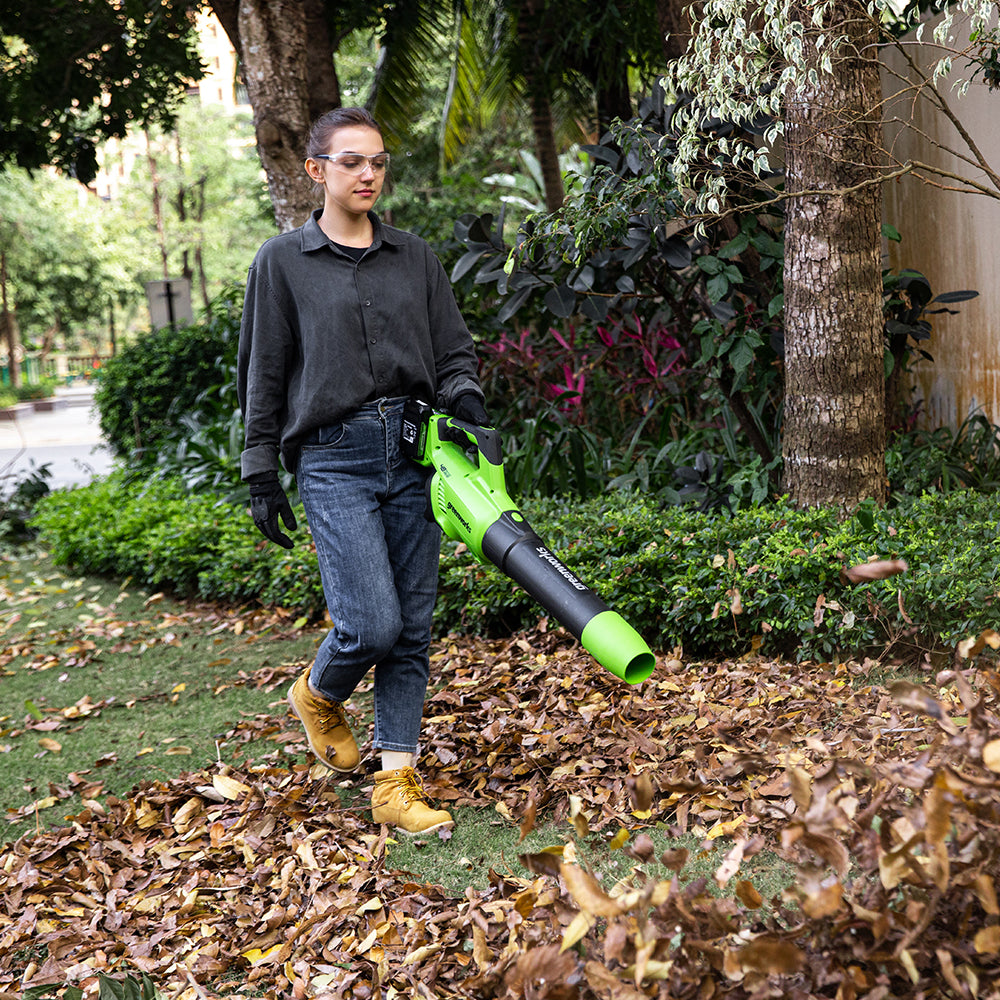 24V+24V Leaf Blower 193 km/h - 2x 2Ah Battery