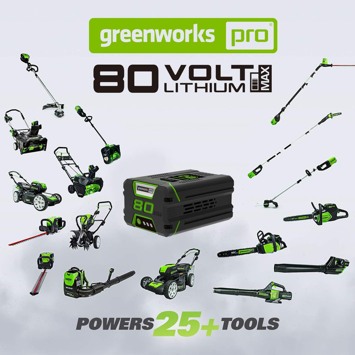 80V Dual Charger 8A