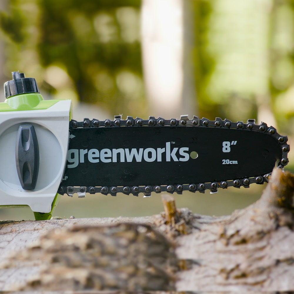 POWERALL 24V Pole Saw - 2Ah Battery