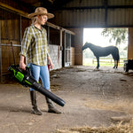 60V Leaf Blower 209 km/h - tool only