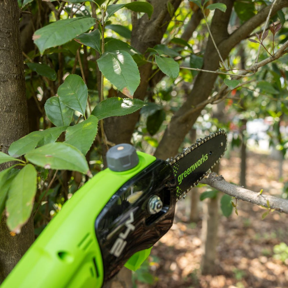 POWERALL 24V Pole Saw 20cm Gen. II - 2Ah Battery