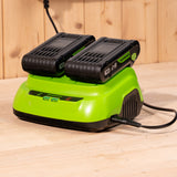 POWERALL 24V Dual Slot Charger 8A