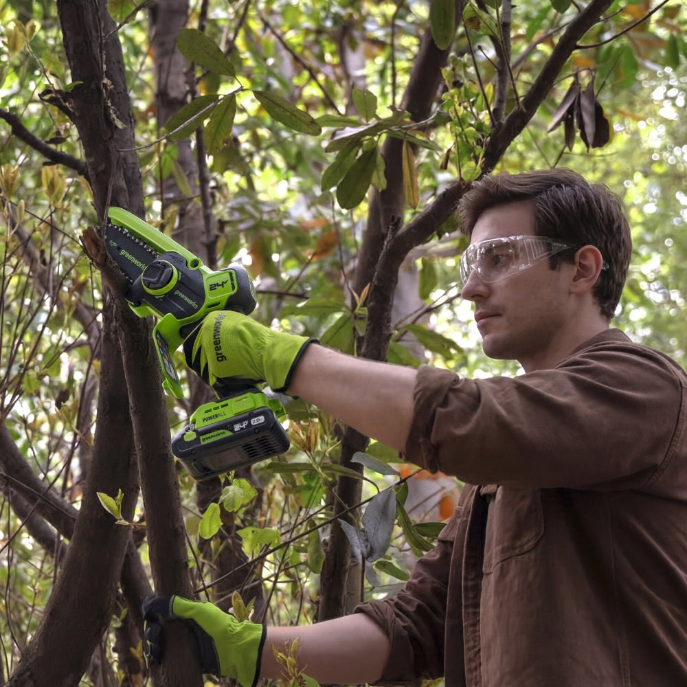 POWERALL 24V Mini Chainsaw 10cm Gen. II with Extension Pole - 2Ah Battery