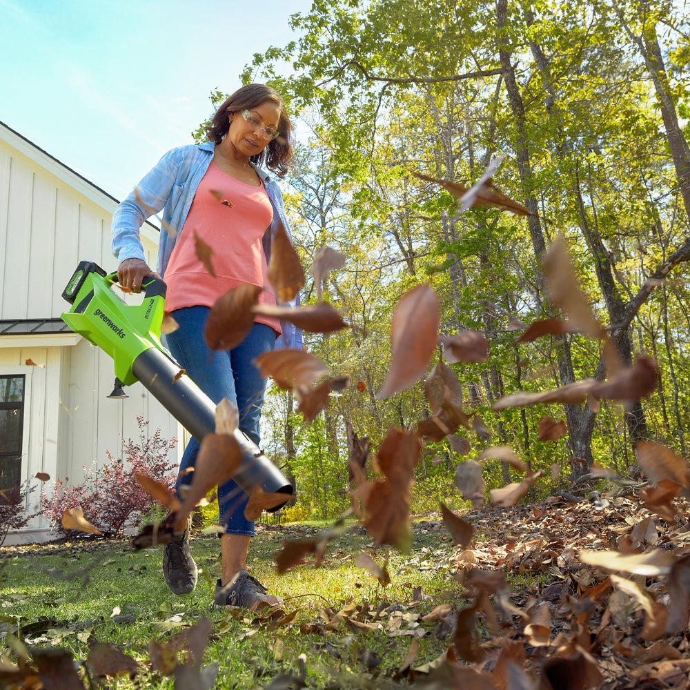 24V Leaf Blower 177 km/h - tool only