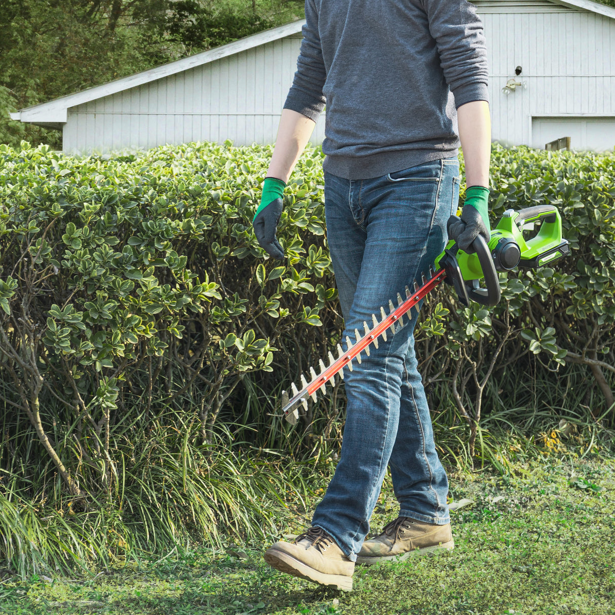 POWERALL 24V Hedge Trimmer 61cm - tool only