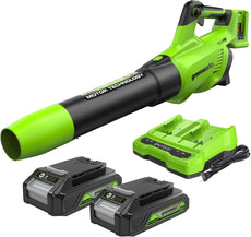 48V (24V x 2) Leaf Blower 217 km/h - 2x 2Ah Battery