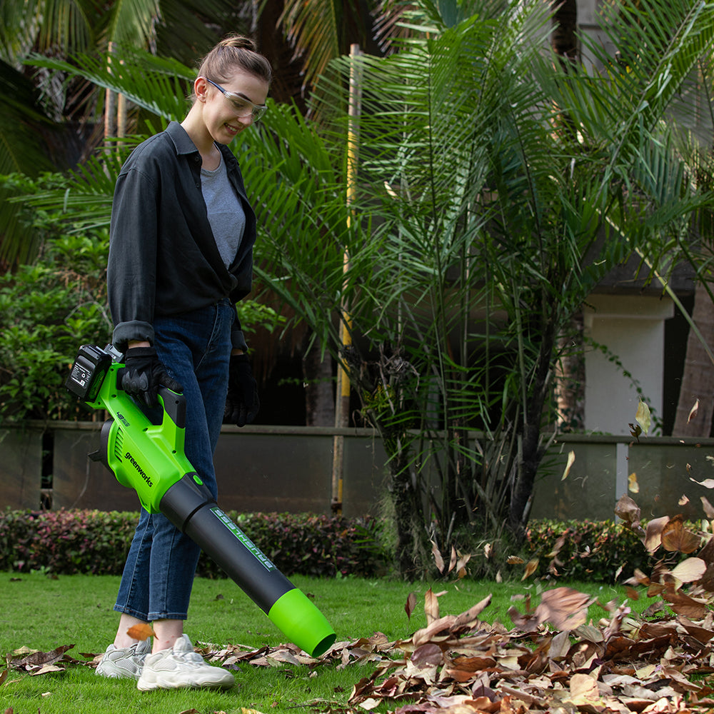 POWERALL 48V (24V x 2) Leaf Blower 217 km/h - tool only