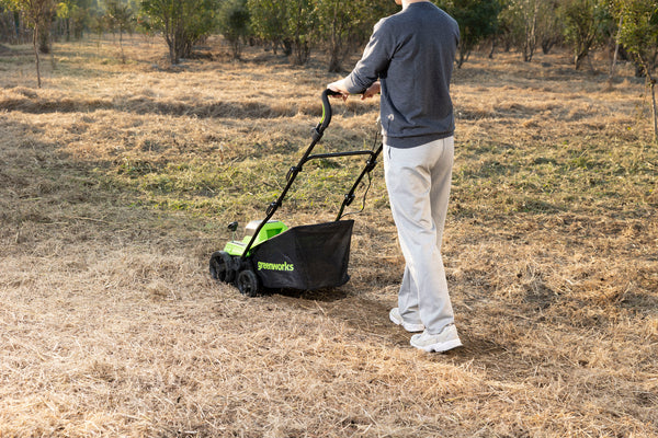40V Dethatcher / Scarifier 2-in-1 38cm - tool only