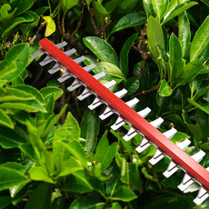 40V Pole Hedge Trimmer