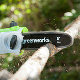 POWERALL 24V Pole Saw - 2Ah Battery
