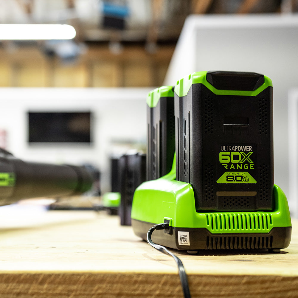 60V Fast Charger 2A