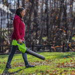40V Leaf Blower 210 km/h Gen. II - 2x 2Ah Battery