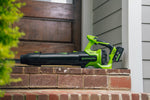 POWERALL 24V Leaf Blower 209 km/h - tool only