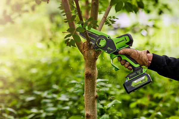 Greenworks mini store chainsaw