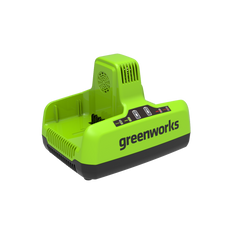 60V Dual Slot Charger 6A