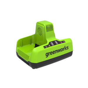 60V Dual Slot Charger 6A