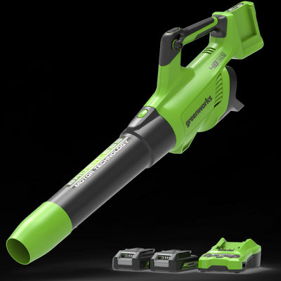 48V (24V x 2) Leaf Blower 217 km/h - 2x 2Ah Battery