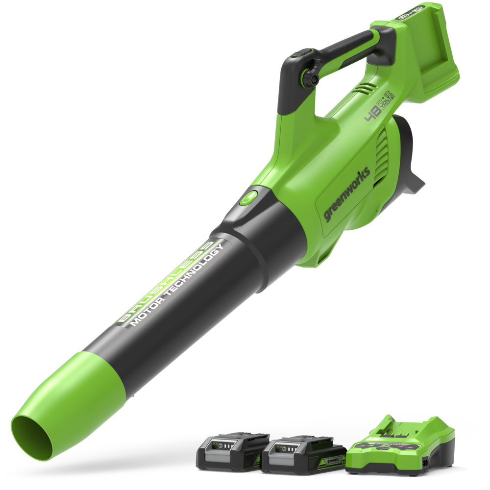 POWERALL 48V (24V x 2) Leaf Blower 217 km/h - 2x 2Ah Battery