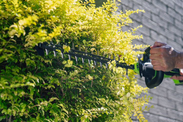 POWERALL 24V Hedge Trimmer 51cm Gen. II - 2Ah Battery