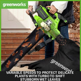 40V Leaf Blower / Leaf Vacuum 370 km/h - 2x 2Ah Battery
