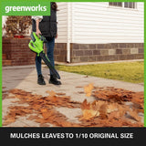 40V Leaf Blower / Leaf Vacuum 370 km/h - 2x 2Ah Battery