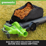 40V Leaf Blower / Leaf Vacuum 370 km/h - 2x 2Ah Battery